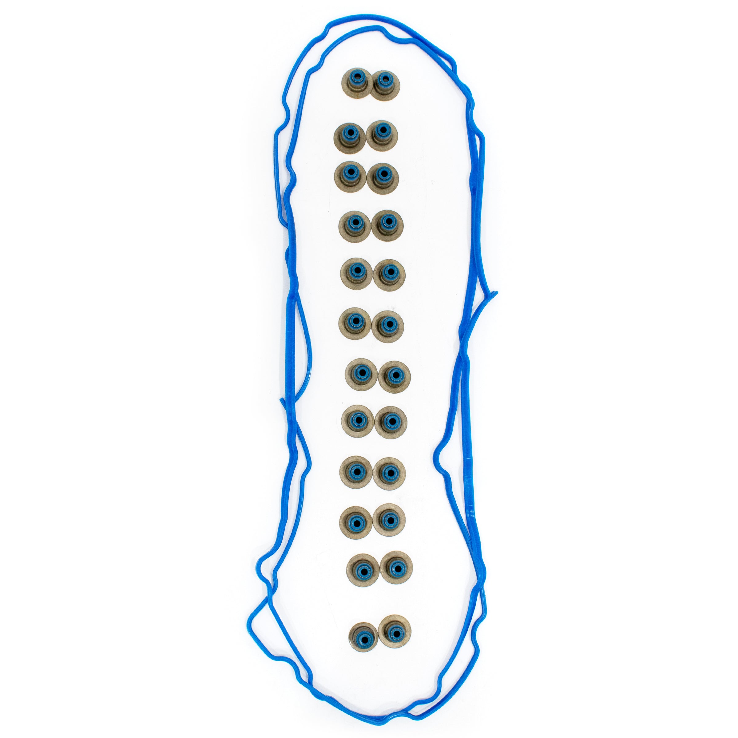 TREXCAR DXBKIT-020 Valve Cover Gasket and Valve Stem Seals for 2.7L V6