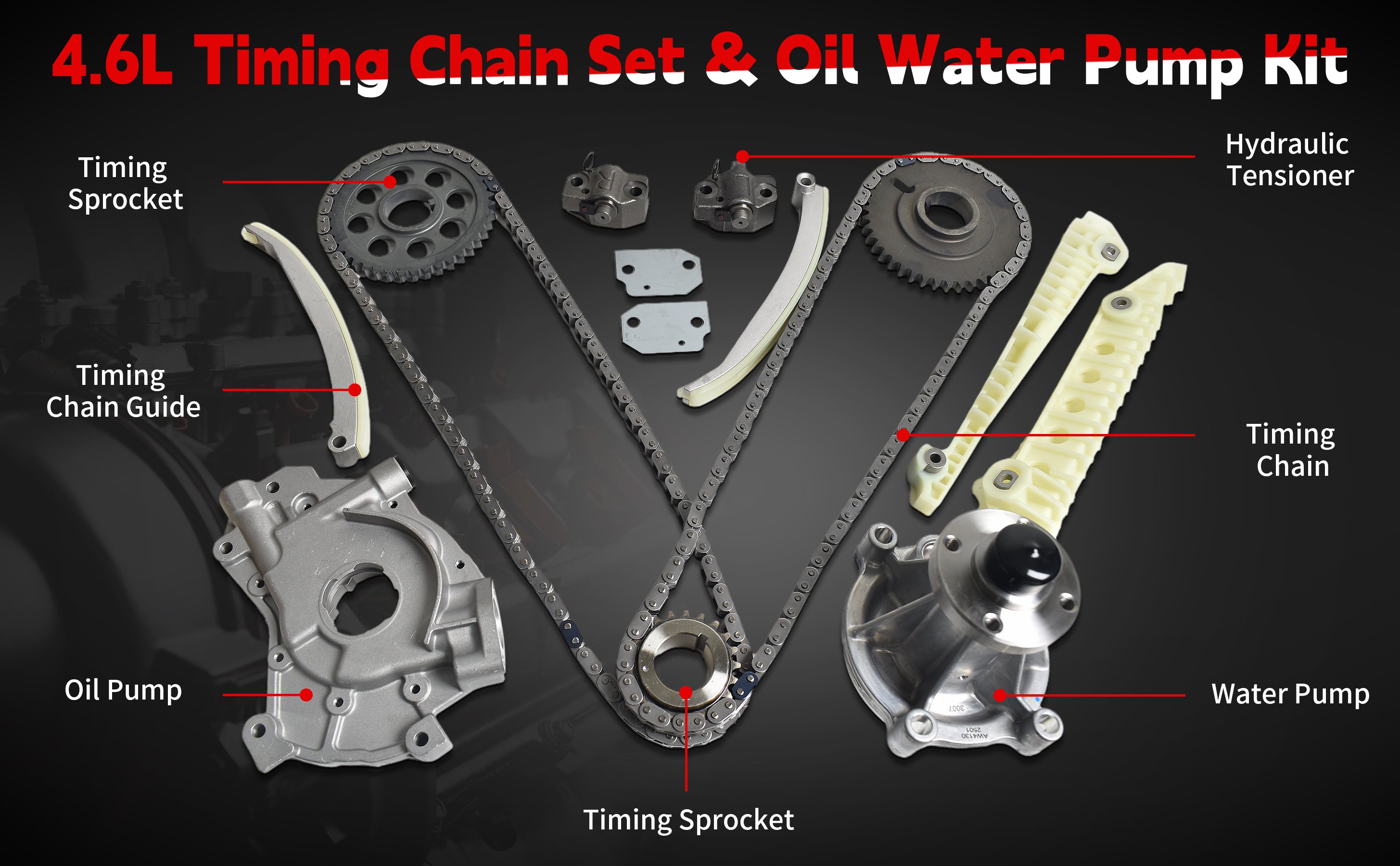 2001-2010 Ford/Lincoln 4.6L V8 Windsor Complete Timing Chain Kit: w/ Oil & Water Pump 技术细节 1