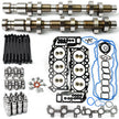 TREXCAR TLZKIT-057 Complete Dodge Jeep 3.7L V6 Engine Rebuild Kit with Left Right Camshafts Lifters and Gaskets
